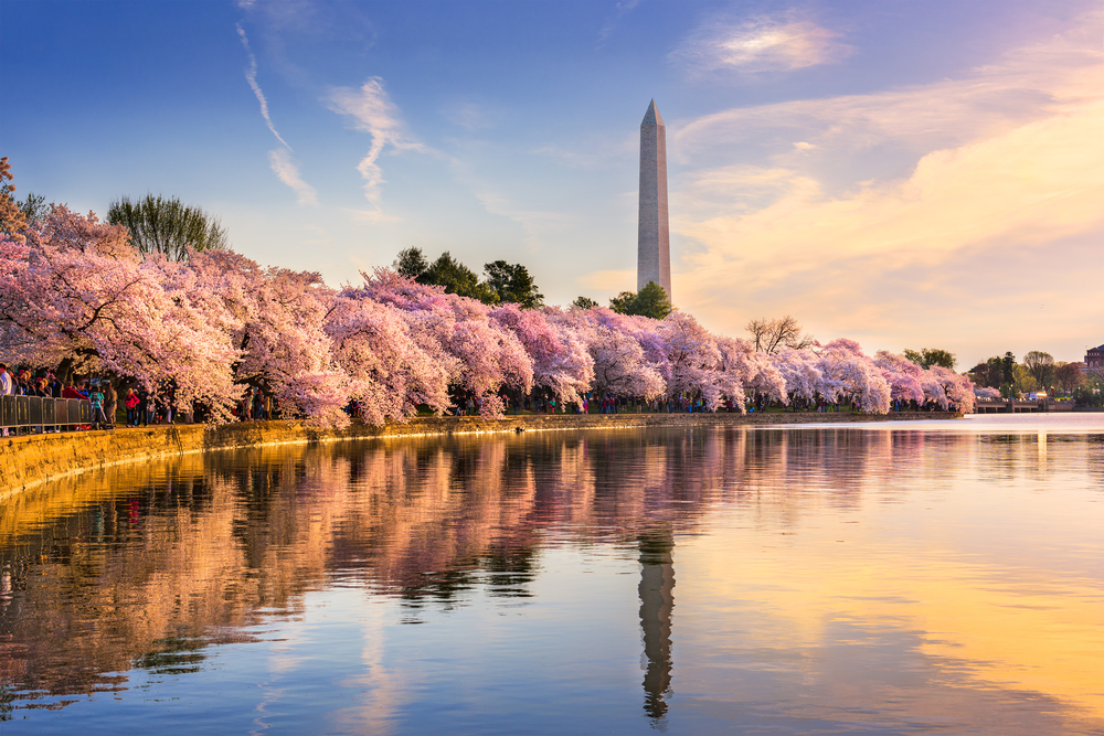 Washington,Dc,,Usa,At,The,Tidal,Basin,With,Washington,Monument